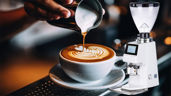 15 kg di capacità macinatrice di caffè senza dosi in acciaio inossidabile per aumentare la produttività