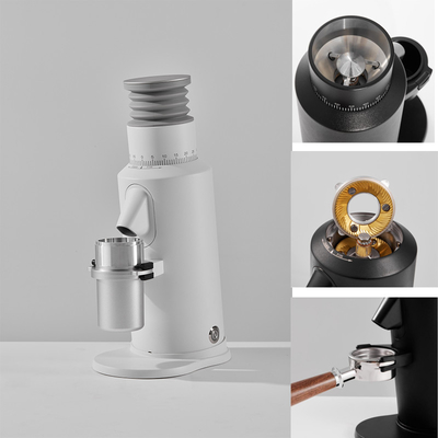 110V / 220V SSP Burr Coffee Grinder For Hotel una garanzia da 1 anno